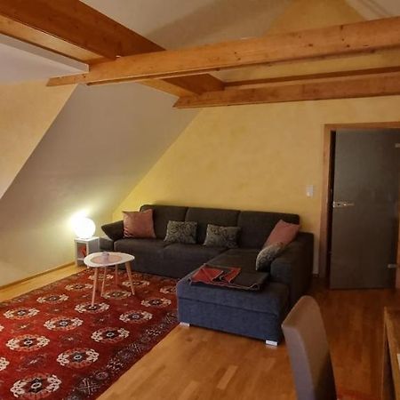 Apartment Mittelpunkt - Kaufmann Sankt Stefan ob Leoben Zewnętrze zdjęcie
