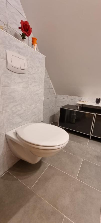 Apartment Mittelpunkt - Kaufmann Sankt Stefan ob Leoben Zewnętrze zdjęcie